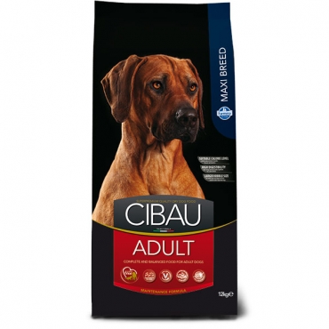 Adult maxi