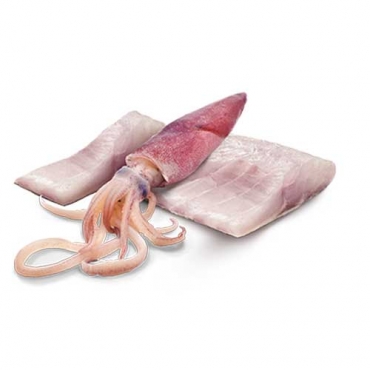 N&D Dog Ocean Sea Bass&Squid