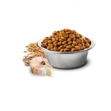 Ocean Codfish, Spelt, Oats&Orange Adult mini