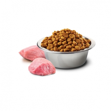 Boar&Apple Adult mini