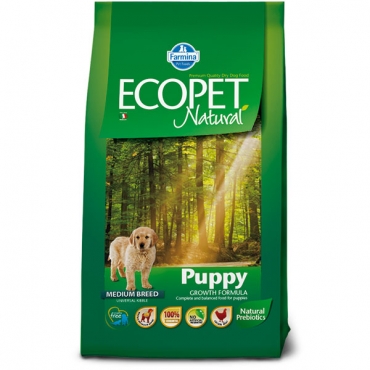 Puppy medium