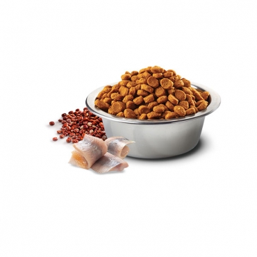 Quinoa SkinN&Coat Herring Adult