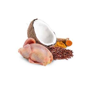 N&D Dog Quinoa Quail&Coconut