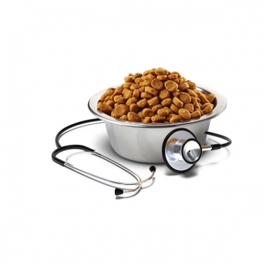 Vet Life Gastro-Intestinal