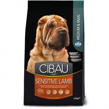 Sensitive Lamb Adult medium&maxi