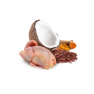 N&D Cat Quinoa Quail&Coconut
