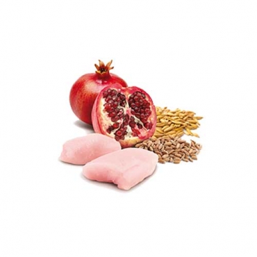 N&D Dog Ancestral Grain Chicken&Pomegranate