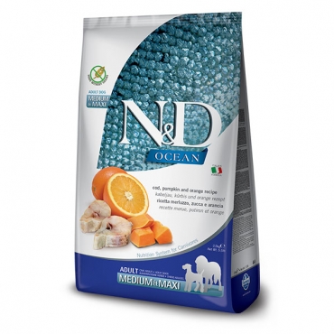 Ocean Codfish, Pumpkin&Orange Adult medium&maxi