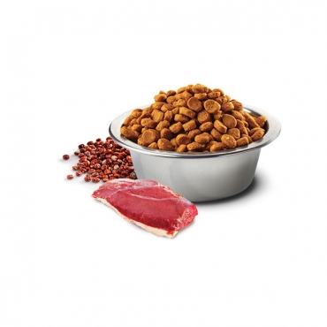 Quinoa Dog Duck, Broccoli&Aspsrsgus Neutered Adult Medium&Maxi