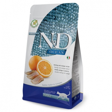 Ocean Herring&Orange Adult