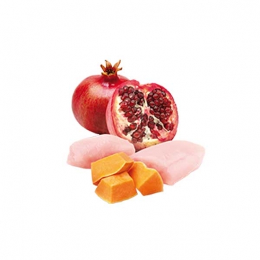 N&D Dog Chicken Pumpkin&Pomegranate Puppy
