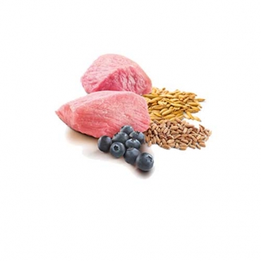 N&D Dog Ancestral Grain Lamb&Blueberry Mini