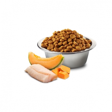 Ocean Dog Cod, Pumpkin and Cantaloupe Melon Puppy Mini