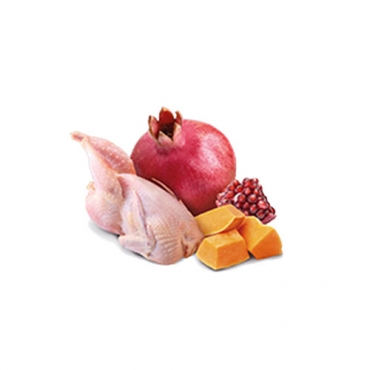 N&D Dog Quail&Pumpkin