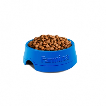 Fun Cat Meat