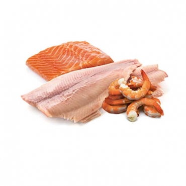 N&D Cat Ocean Trout, Salmon&Shrimp