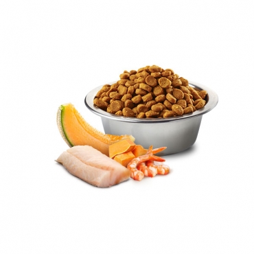 Ocean Cod, Shrimp, Pumpking&Cantaloupe Melon Kitten