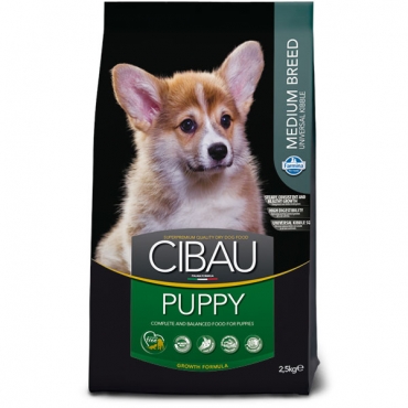 Puppy medium
