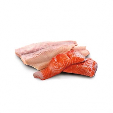 N&D Dog Ocean Trout&Salmon