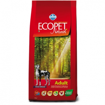 Adult maxi