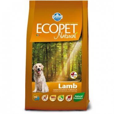 Lamb mini