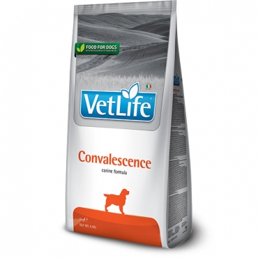 Vet Life Convalescence