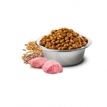 Lamb, Spelt, Oats&Blueberry Puppy medium&maxi