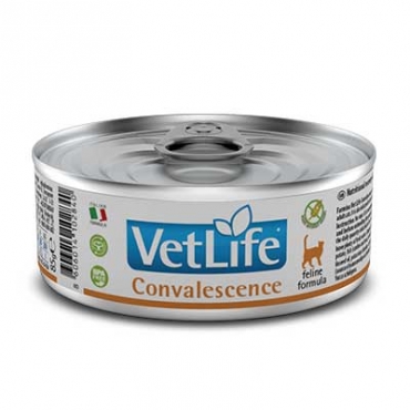 Vet Life Natural Diet Cat Convalescence