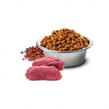 Quinoa Skin&Coat Venison Adult Mini