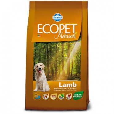 Lamb