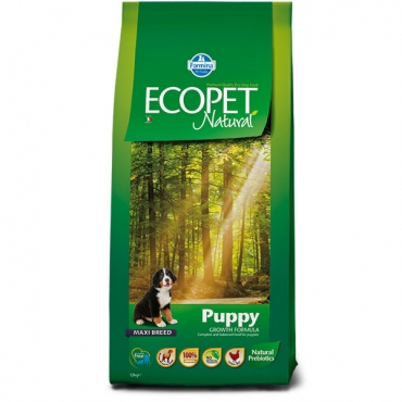 Puppy maxi