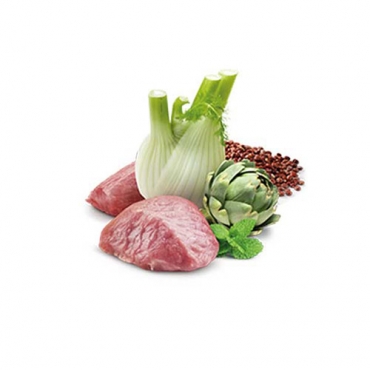 N&D Dog Quinoa Digestion Mini