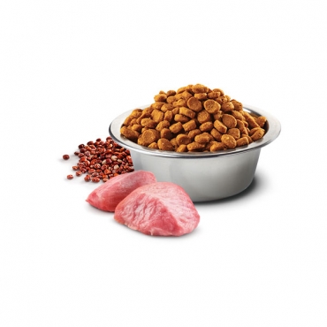 Quinoa Digestion Lamb Adult