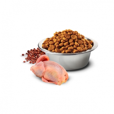 Quinoa Skin&Coat Quail Adult Mini