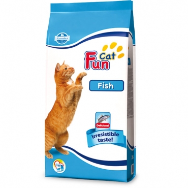 Fun Cat Fish