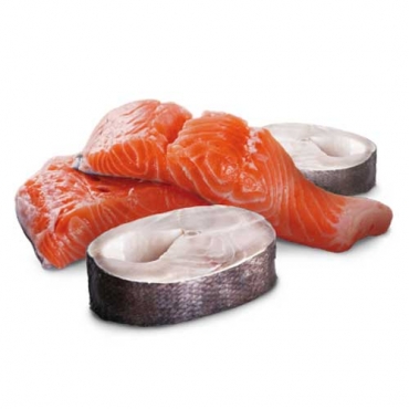 N&D Dog Ocean Salmon&Cod